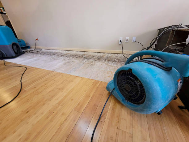 Professional Water Extraction technician working in Lafayette, CO